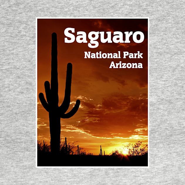 Saguaro National Park by Naves